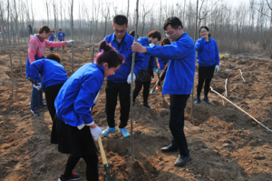 PA�콢����(�й�)�ٷ���վ