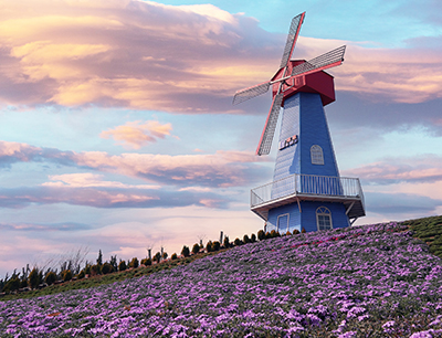 PA�콢����(�й�)�ٷ���վ