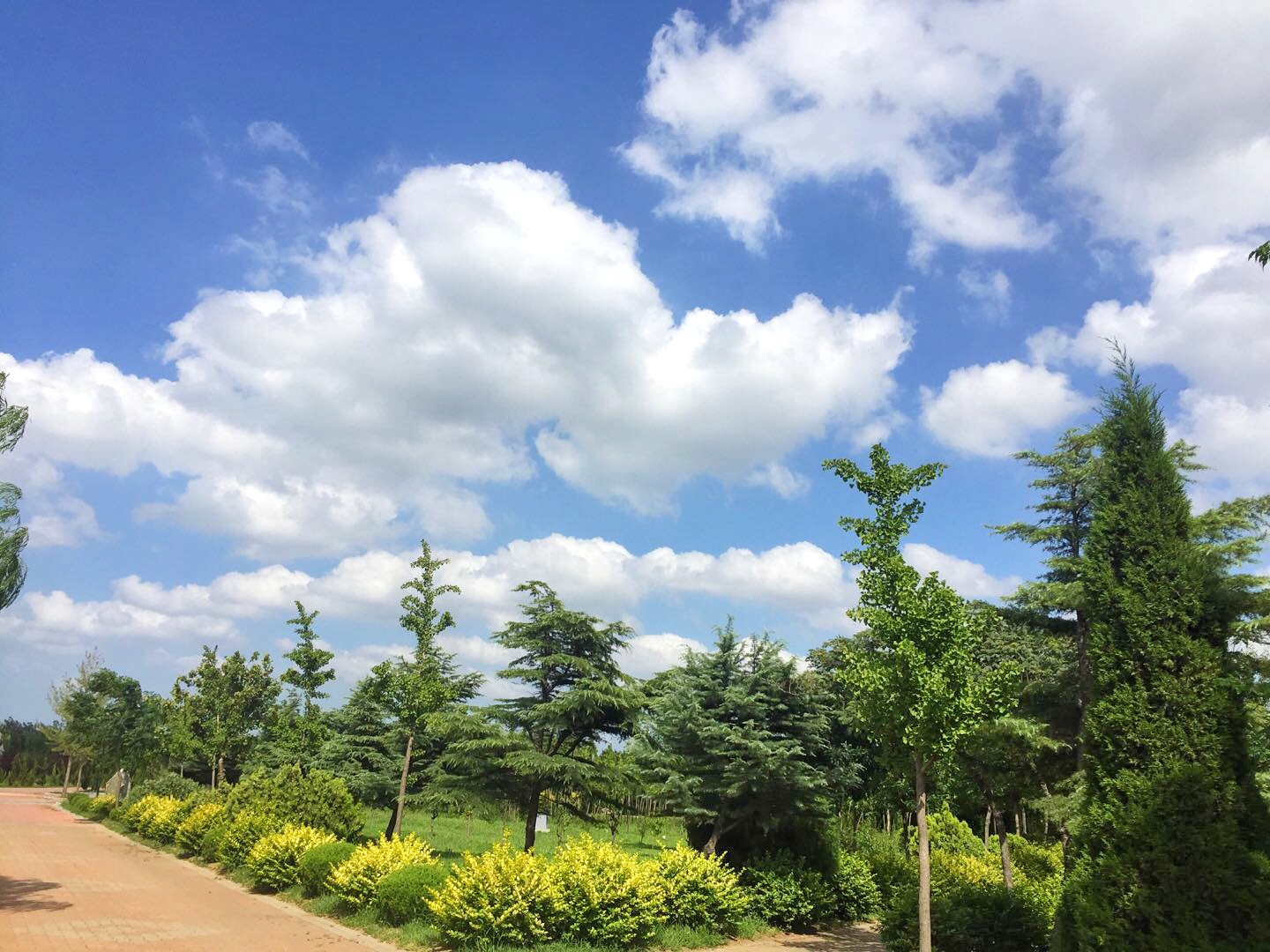 PA旗舰厅·(中国)官方网站