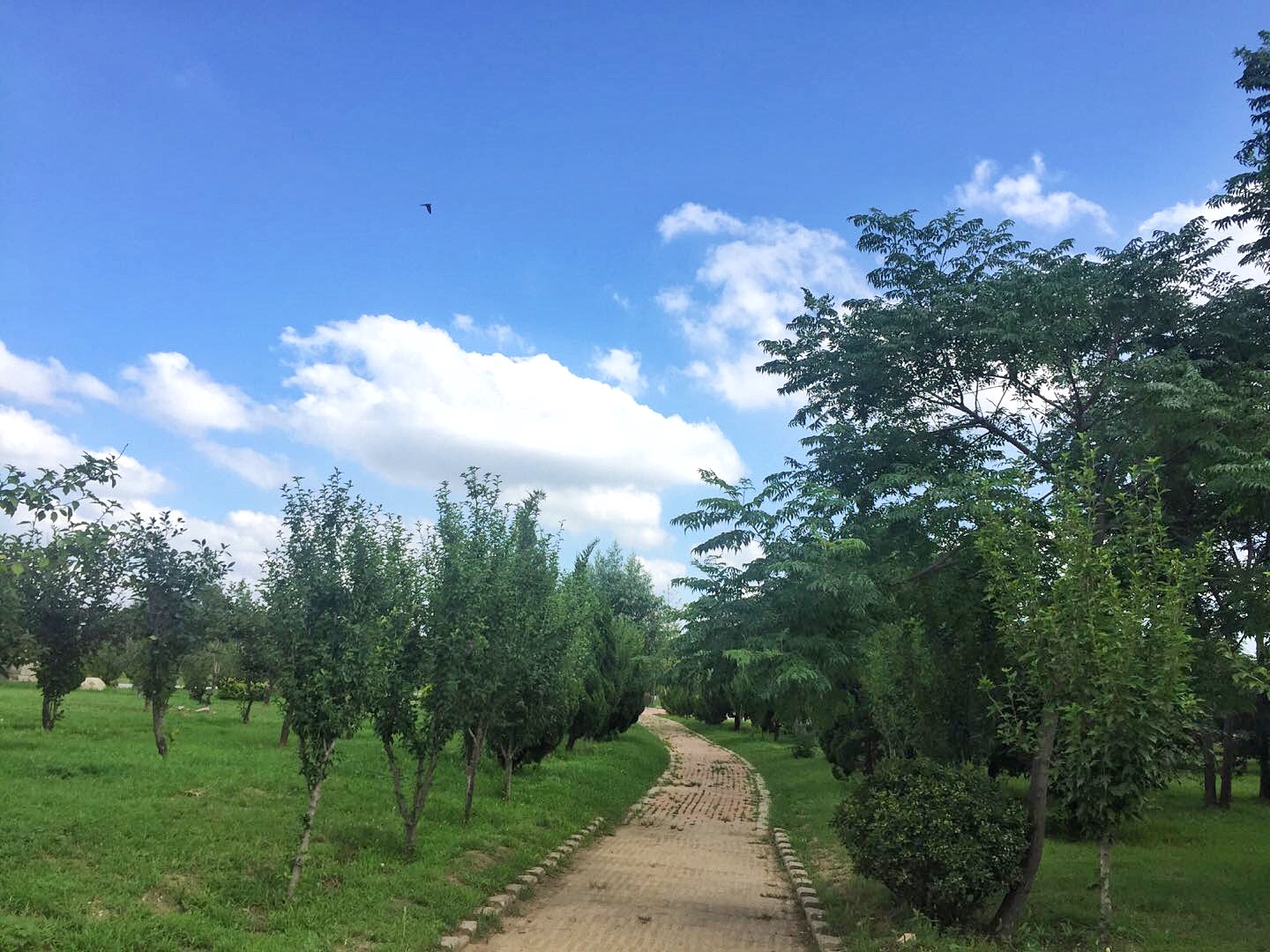 PA旗舰厅·(中国)官方网站